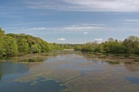 Bosherston Lakes